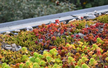the cost of Jacksdale green roof installation
