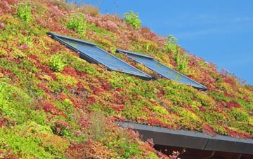 Jacksdale living roof systems