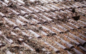 Jacksdale roof cleaning companies